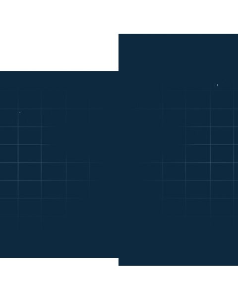 roadmap section bg grid